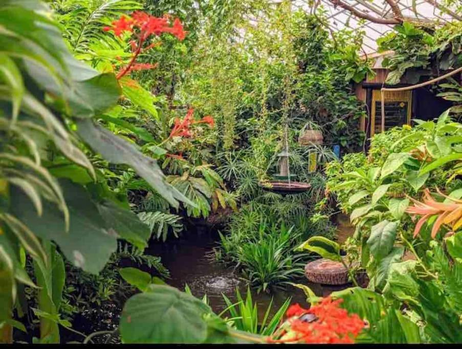 Hidden Gem !Stunning 3 Bedroom Home In Sheffield Handsworth Εξωτερικό φωτογραφία